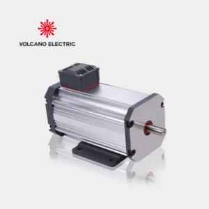 110V 1000W Low Speed High Torque BLDC Motor