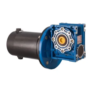 24V 200W Brushed DC Motor with Gearbox