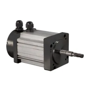 72V 1000W 1900RPM Brushless DC Motor