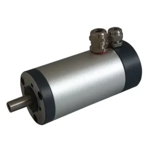 12V 120W Small Permanent Magnet DC Motor