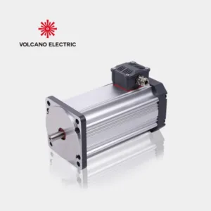 36V 1300W 3200RPM Electric BLDC Motor