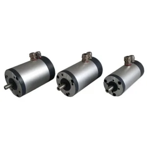 Low Voltage Permanent Magnet Motor