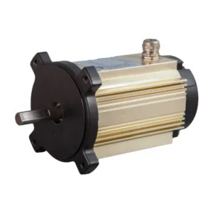 1100W 2900RPM Centrifugal Pump Motor