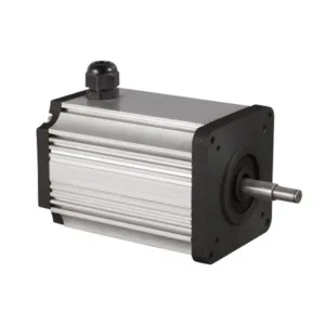 60V 750W 1500RPM High Torque BLDC Motor